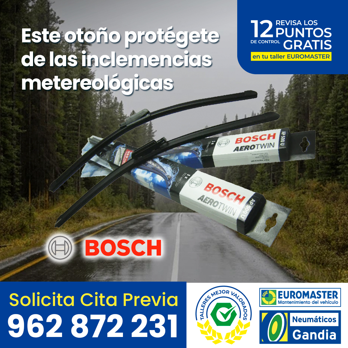Promociónnoviembre escobillas bosch 2025